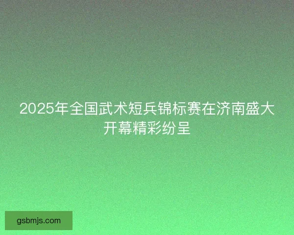 2025年全国武术短兵锦标赛在济南盛大开幕精彩纷呈